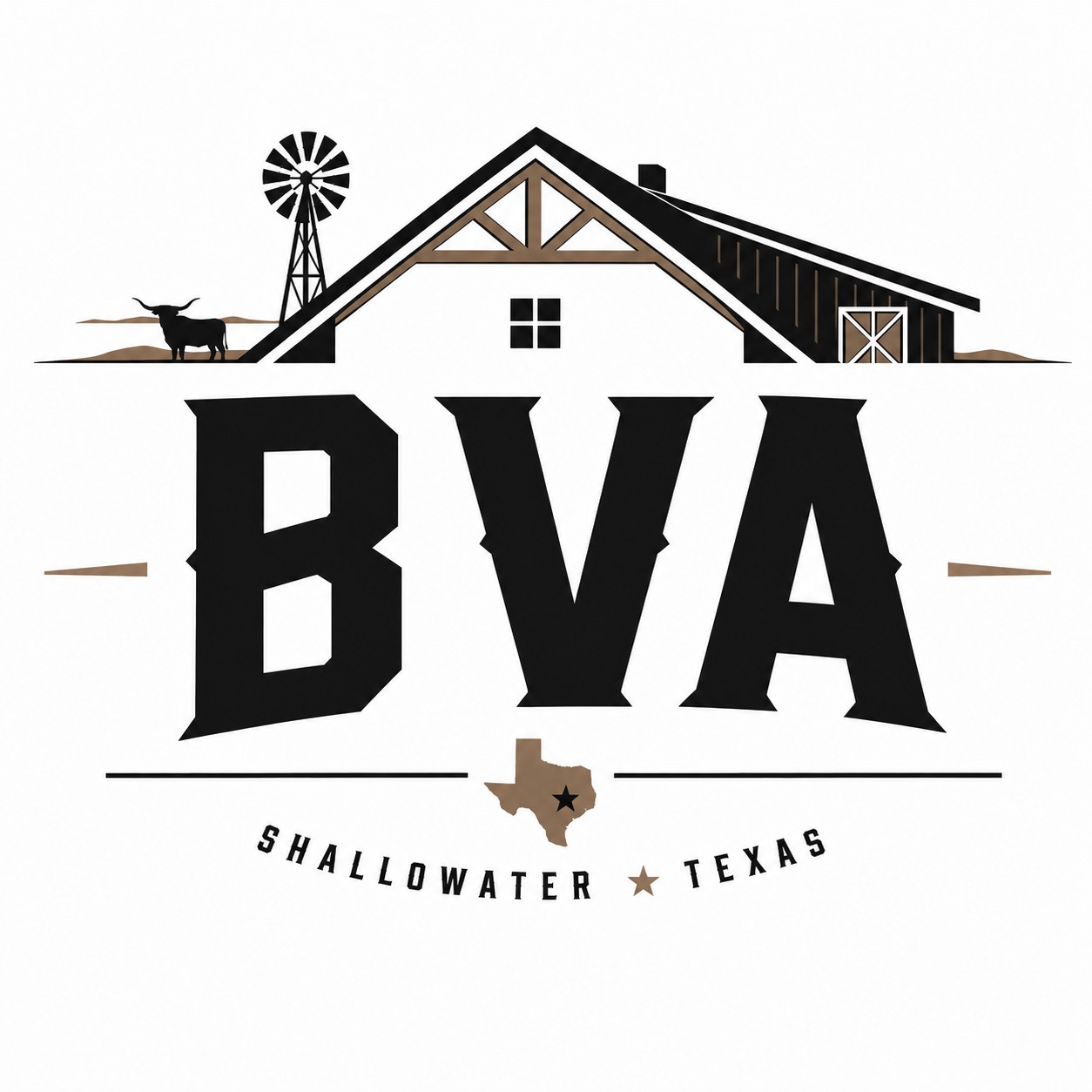 BVA Homes and More logo